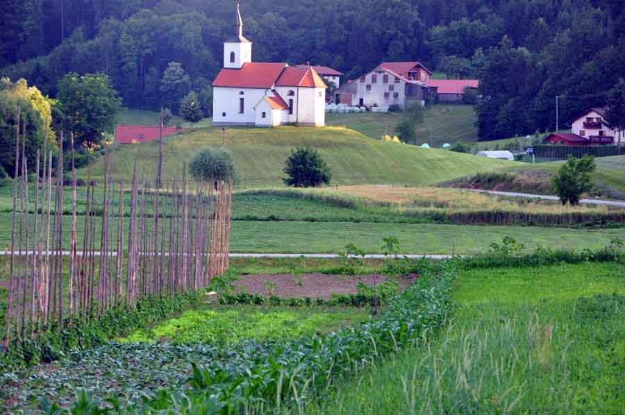 Polja, kjer pridelujemo zelenjavo in žita...